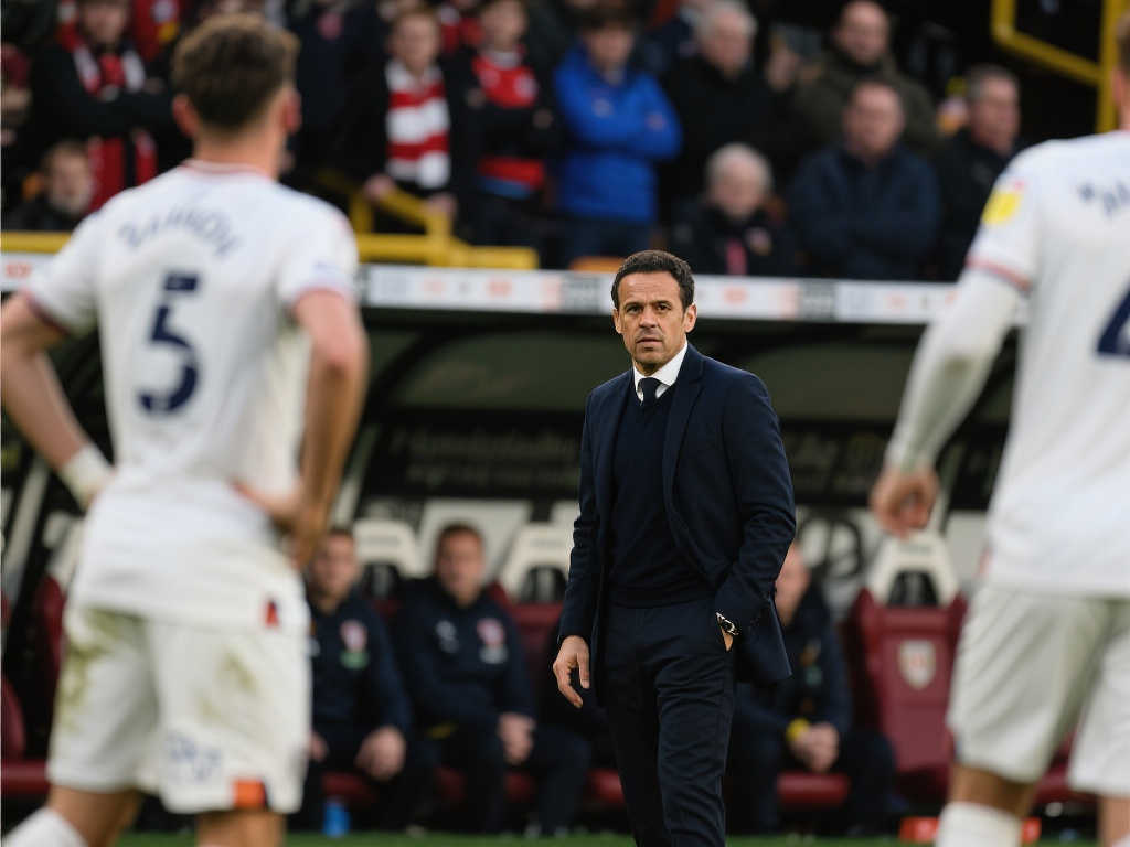 举办城市及 举办城市及